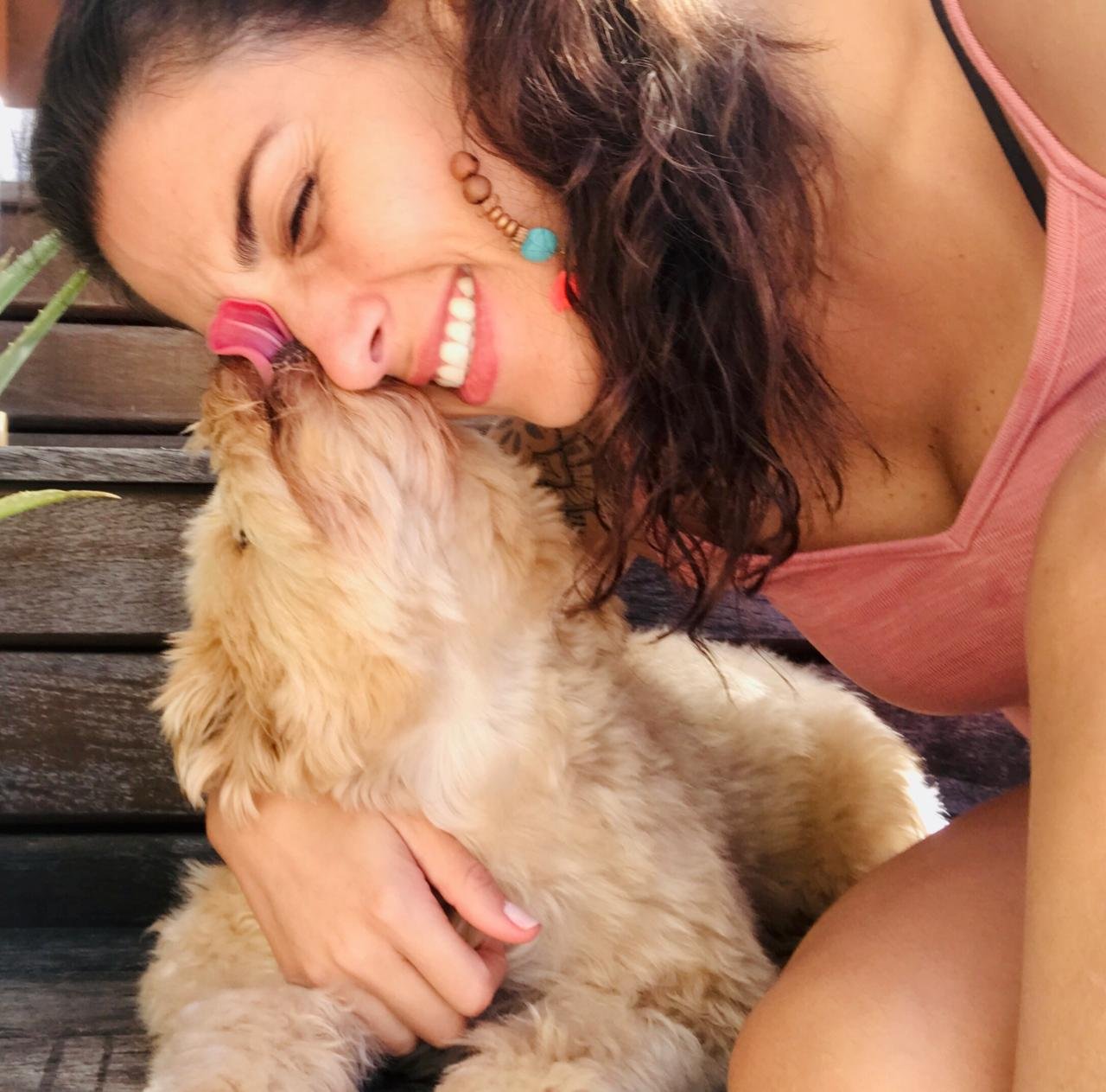 aromaterpia em cães